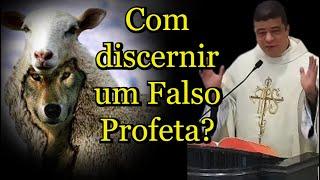 Com discernir um Falso Profeta? - Padre Pablo Henrique #PadrePabloHenrique #homilia #santos