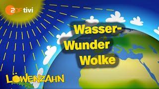 Wie entstehen Wolken? - Löwenzahn | ZDFtivi