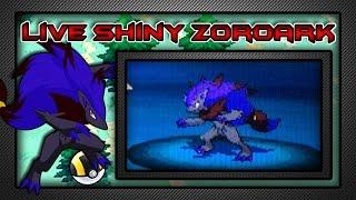 [1,000 Subscriber Special!] [LIVE!] Shiny Zoroark after 2,309 Hard-Resets! [Badge Quest #7]