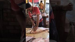 Cutting FRESH Bhetki Fish Like a Pro!