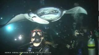 Manta Ray Night Dive Kona Honu Divers Hawaii