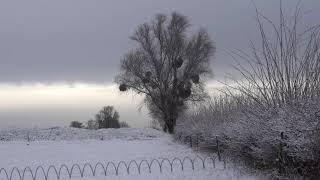 Winterwandeling in Voeren