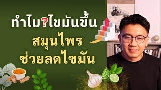 ทำไมค่าไขมันขึ้น และ สมุนไพรอะไรช่วยได้ - หมอนัท Live