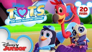 Best of Season 3  | 20 Minute Compilation | T.O.T.S. | @disneyjr