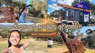 නිදහසේ ගෙවුනු දවසක්️ solo valentines | last Melbourne vlog | මං මාව සැමරුවා | shanudrie vlogs