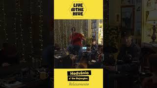 Relaxamento - Live at the Hive - Hedvanio and the Bojangles