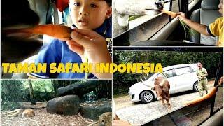 Complete Tour at Taman Safari Indonesia