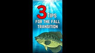 3 Tips for the Fall Transition