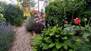 Прогулка по чудесному  саду Людмилы  Ландшафтный дизайн своими руками walk in a beautiful garden