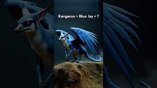 Incredible Kangaroo and Blue Jay animal hybrid #animalhybrids