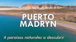 4 paraísos naturales a descubrir en Puerto Madryn | Provincia de Chubut