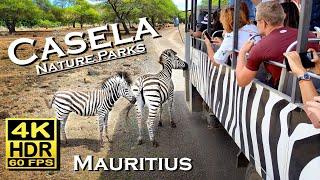 Casela Nature Parks, Mauritius in 4K 60fps HDR Dolby Atmos African Safari bus ride and walking tour