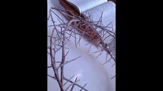 9 25 20 Daily Devotional