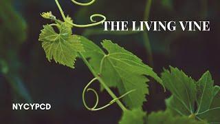 The Living Vine