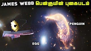 James Webb கண்டுபுடித்த பென்குயின் முட்டை - Penguin Galaxy