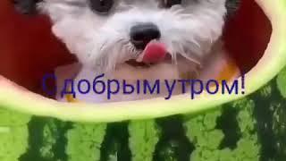делюсь позитивом