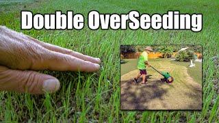 Fall Lawn Overseeding