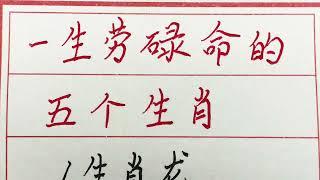 老人言：一生劳碌命的五个生肖 #硬笔书法 #手写 #中国书法 #中国語 #毛笔字 #书法 #毛笔字練習 #老人言 #派利手寫