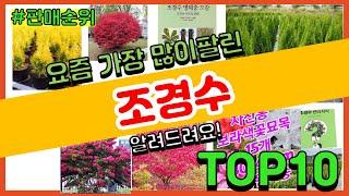 조경수 추천 판매순위 Top10 || 가격 평점 후기 비교0 조경수 동영상