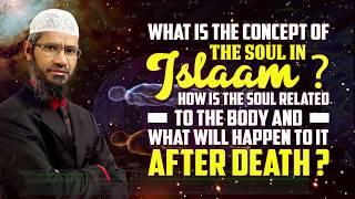 What is the Concept of the Soul in Islam? How is the Soul Related to the Body ...