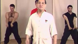 Preview - Leung Ting - Wing Tsun, Right Wrong and Why