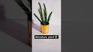 Miniplant diy#miniature#diy #hacks#5-minutecrafts #lifehacks#wastematerialcraft #shortvideo#viral