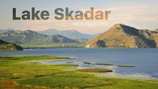 Skadar Lake, Montenegro