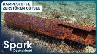 Gefährliche Munition in der Ostsee | Kampfmitteltaucher im Einsatz | Spark Deutschland