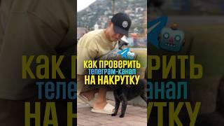 Как проверить телеграм канал на накрутку ботов? #телеграм #бизнес #инвестиции #предприниматель