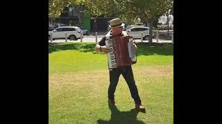 Mr Accordion Man # squeezeboxking
