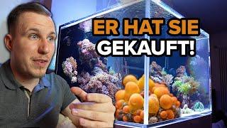 Komplettumbau im AQUARIUM bei Tolga! + Nicht mehr feierliche Korallen!!