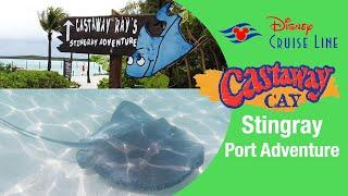 Castaway Cay Stingray Adventure Review