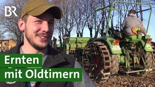 Oldtimer im Einsatz: Braugerste ernten mit historischen Landmaschinen | Unser Land | BR