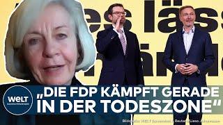 BUNDESTAGSWAHL: FDP "kämpft in der Todeszone" – Dogmatismus wird der Partei zum Verhängnis