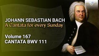 J.S. Bach: Was mein Gott will, das g'scheh allzeit, BWV 111 - The Church Cantatas, Vol. 167