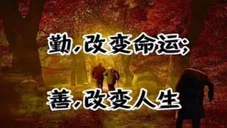 勤，改变命运；善，改变人生【琼音读书】