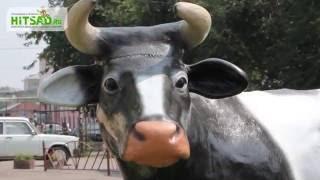 Фигура коровы из стеклопластика U07493 | #hitsadTV