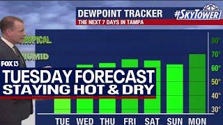Tampa weather | Staying hot and moderately humid
