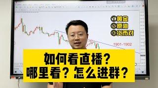 如何看黄金外汇直播？在哪里看？粉丝必看！