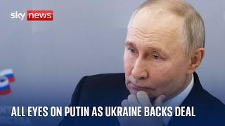 Putin under pressure as Zelenskyy backs ceasefire plan | Ukraine War