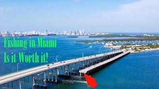 INSANE Urban  Fishing in Miami's HIDDEN Locations!