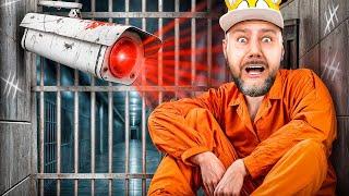 Как Амега фемели попали в Америку