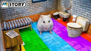 Hamster Robber escapes from Prison Maze  Homura Ham Pets