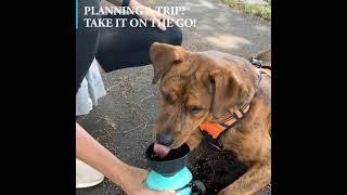 Portable BPA Free Foldable Dog Water Bottle