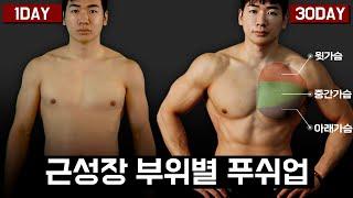 하루10분! "퍼펙트푸쉬업" 꽉찬 가슴근육 만들기 [윗가슴-중간가슴-아래가슴 팔굽혀펴기 초.중.고급자 30일 홈트프로그램]