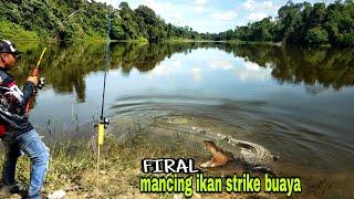 KERINGAT DINGIN.. seumur² baru kali ini mancing ikan strike buaya