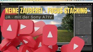 Focus stacking mit der Sony a7IV - Wie ist das möglich?