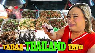 TARA THAILAND TAYO | PETITE TV