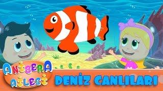 Anibera Ailesi | Deniz Canlılarını Tanıyalım  | Çocuk Masalları | Eğitici Videolar