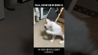 요즘행복하냥 #법륜스님 #법륜스님행복학교 #즉문즉설